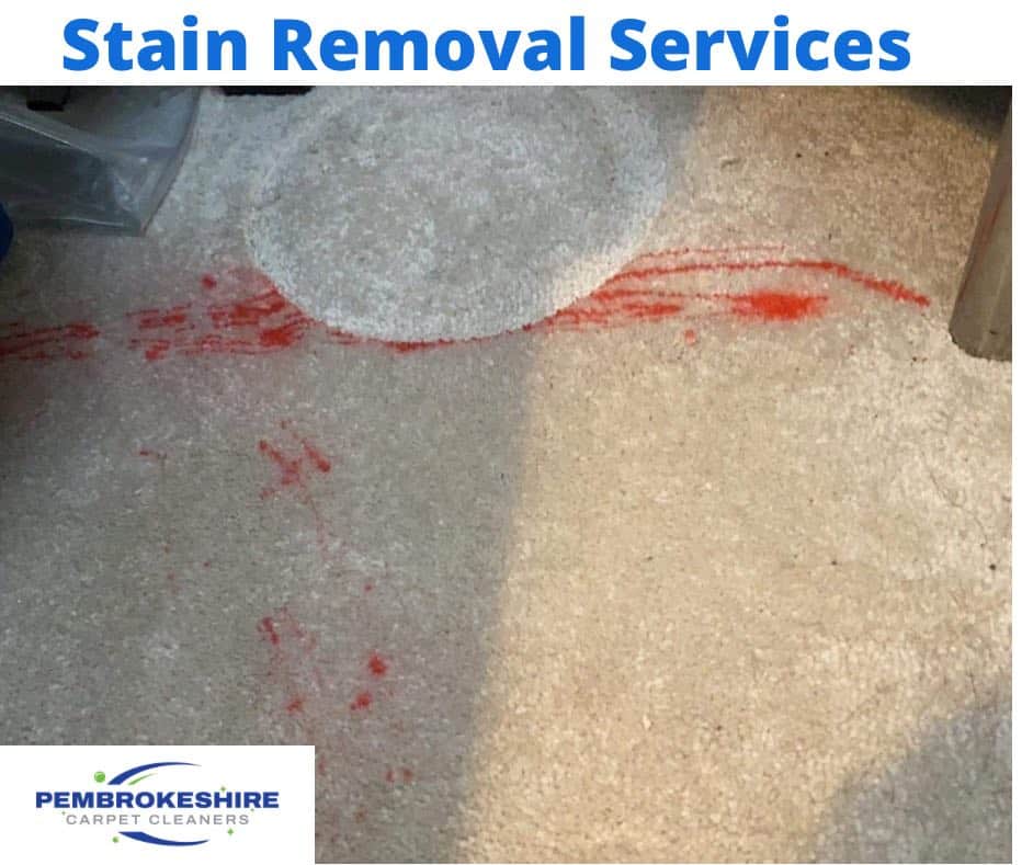 spot and stain removal experts pembrokeshire